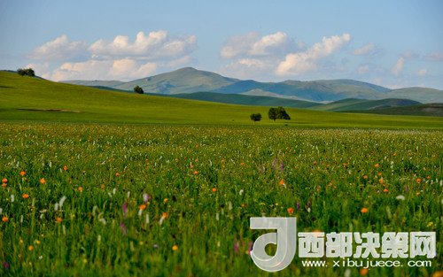 錫林郭勒草原。吳勇攝