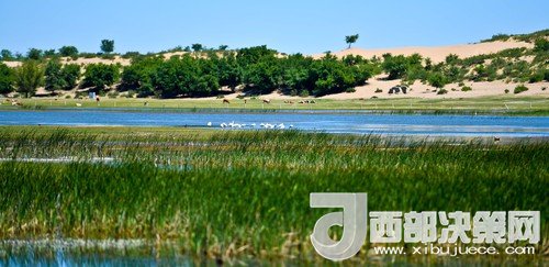 阿魯科爾沁保護區(qū)濕地沙丘。吳勇攝