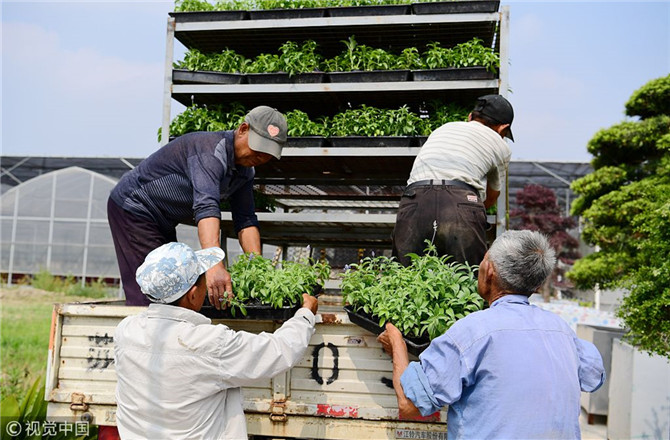 數(shù)字經(jīng)濟(jì)已經(jīng)成為我國經(jīng)濟(jì)社會(huì)更好發(fā)展的重要推動(dòng)力，也為我國鄉(xiāng)村發(fā)展提供了新的歷史機(jī)遇。（圖片來源：視覺中國）