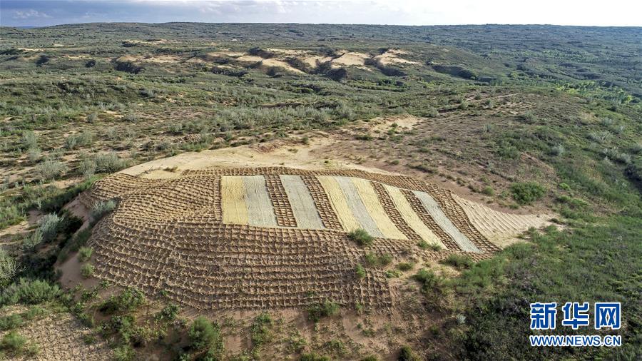 （壯麗70年·奮斗新時(shí)代——共和國發(fā)展成就巡禮·圖文互動(dòng)）（6）生態(tài)美、百姓富——品讀嶄新“寧夏畫卷”
