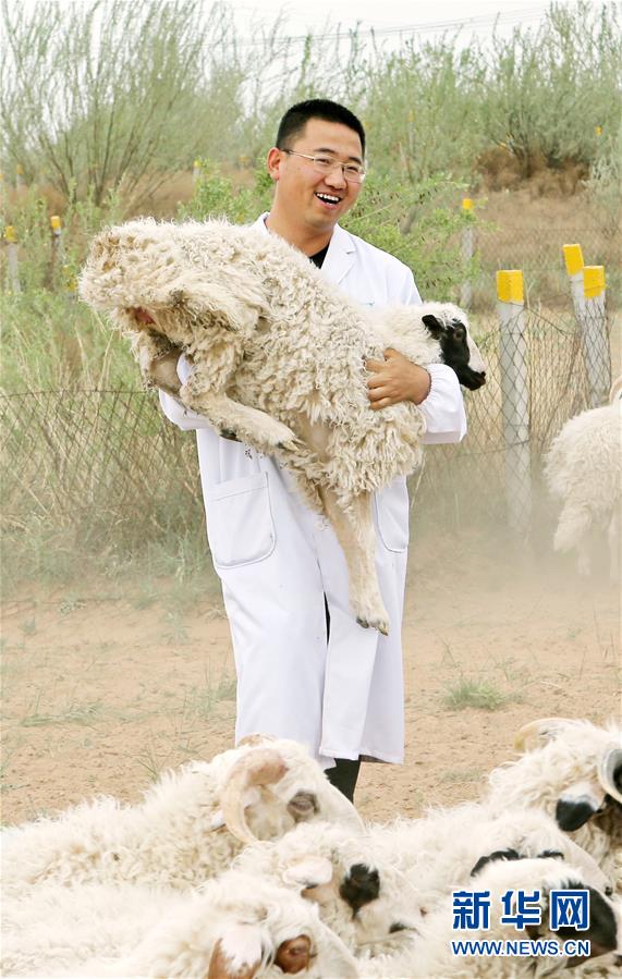 （壯麗70年·奮斗新時(shí)代——共和國發(fā)展成就巡禮·圖文互動(dòng)）（3）生態(tài)美、百姓富——品讀嶄新“寧夏畫卷”