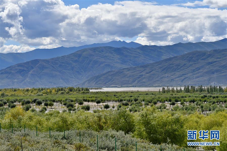 （圖文互動）（4）“今天的生活，就像夢里夢到那樣甜”——寫在西藏百萬農(nóng)奴解放61周年之際