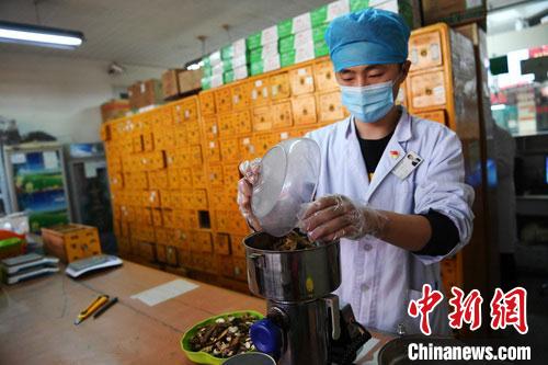 疫情發(fā)生以來(lái)，甘肅確保所有病例盡早、及時(shí)、全程使用中醫(yī)中藥，努力做到“一患一方案”。(資料圖) 楊艷敏 攝