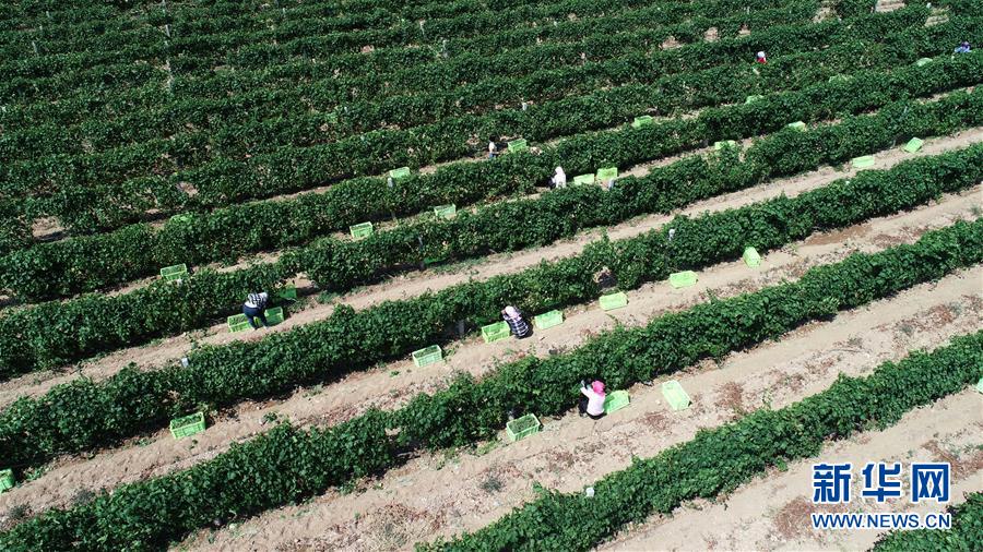 (新華全媒頭條·百萬大移民·圖文互動(dòng))(8)從大山深處到大河之畔——寧夏持續(xù)移民百萬“拔窮根”啟示