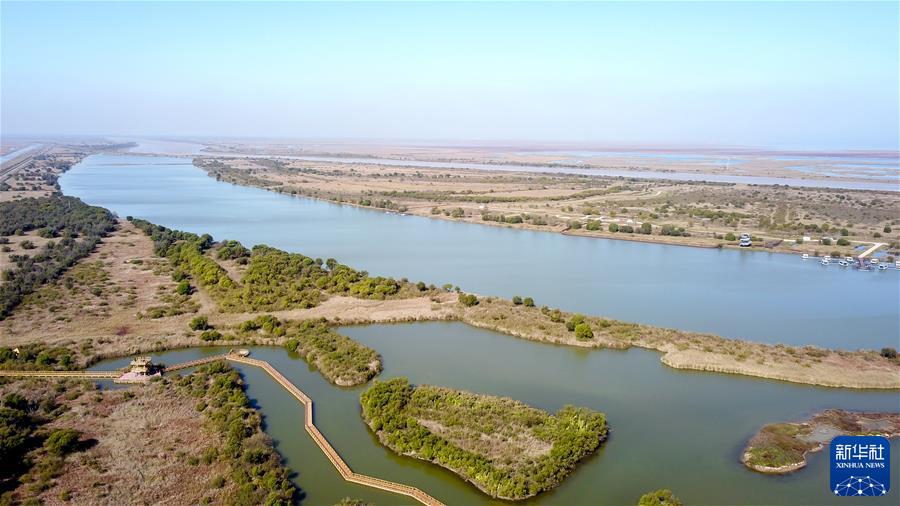 （新華全媒頭條·圖文互動(dòng)）（4）鯤鵬展翅九萬里——以習(xí)近平同志為核心的黨中央引領(lǐng)中華民族邁向偉大復(fù)興述評