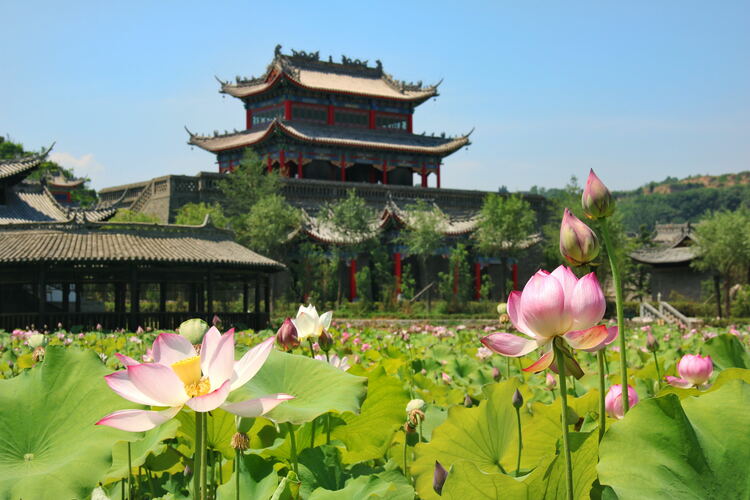 【云游渭南】心中若有桃花源，此處便是水云間！待疫情散盡，一起來渭南桃花源賞美景、觀民俗、享美食_fororder_2