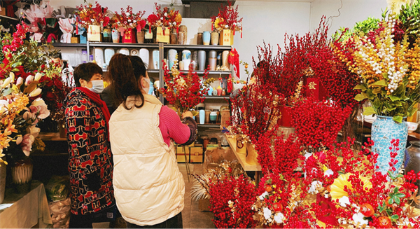 【網(wǎng)絡中國年·新春走基層】花燈璀璨賀新春 陜西各地年味濃_fororder_圖片8