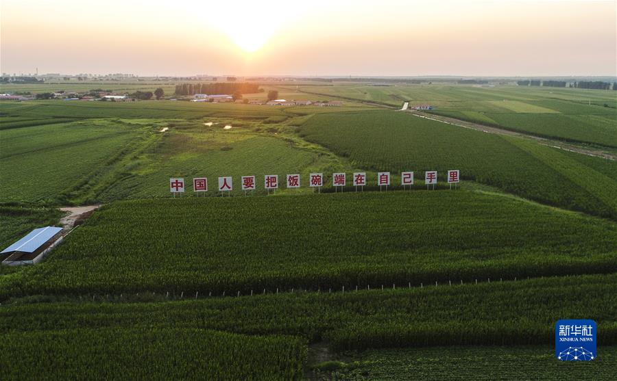 （新華全媒頭條·圖文互動）（7）習近平關(guān)心關(guān)懷勞動者的故事